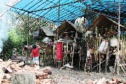 Foto: Women of the Tribe and Search of Freshwater Dolphins in Borneo